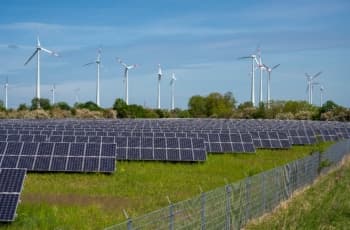 BRF fecha parceria com a Inteprid para construir parque de energia solar no Ceará
