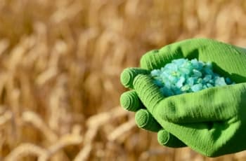 Ministério da Indústria e Comércio da Rússia pede a suspensão das exportações de fertilizantes