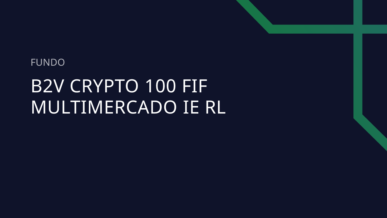 Fundo B2V Crypto 100 FIF Multimercado IE RL - 29.236.318/0001-58