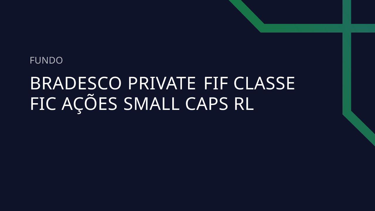 Fundo Bradesco Private FIF Classe FIC Ações SMALL Caps RL