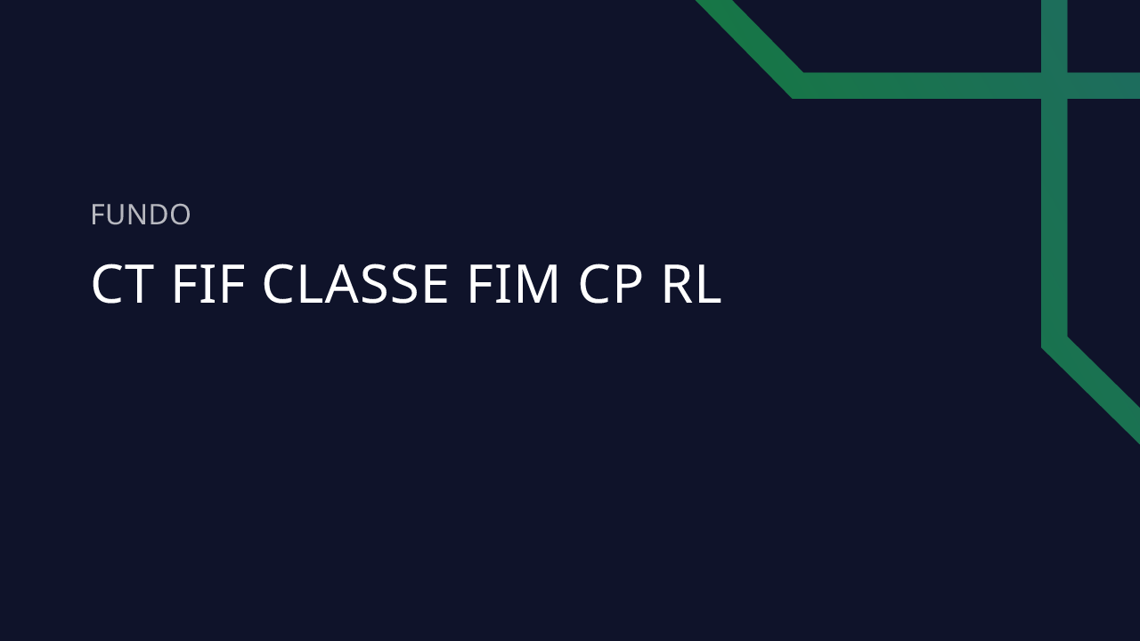 Fundo CT FIF Classe FIM CP RL - 20.077.502/0001-28