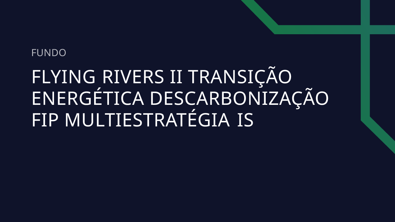 Fundo Flying Rivers II Transição Energética Descarbonização FIP ...